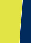 Yellow / Navy